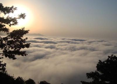 برگزاری نخستین اکوماراتن جنگلی ایران در جنگل ابر